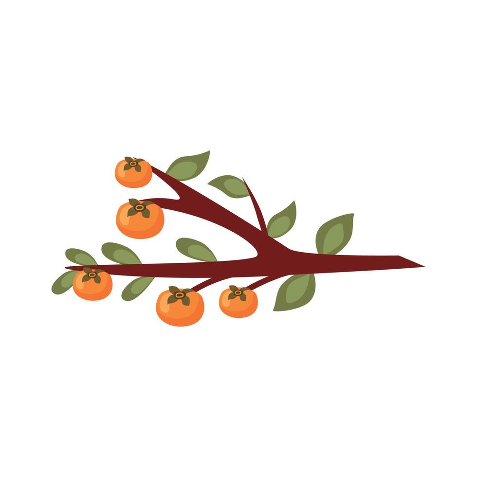 branch with oranges fruits vector