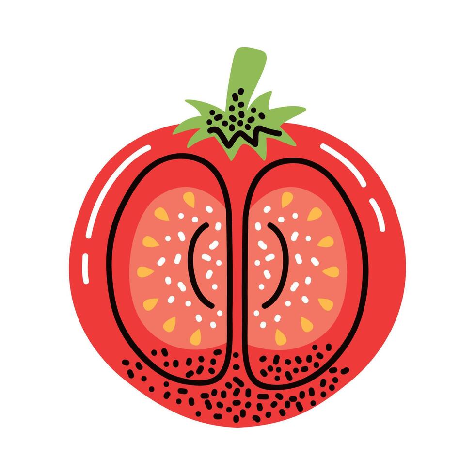 tomato half vegetable healthy food vector