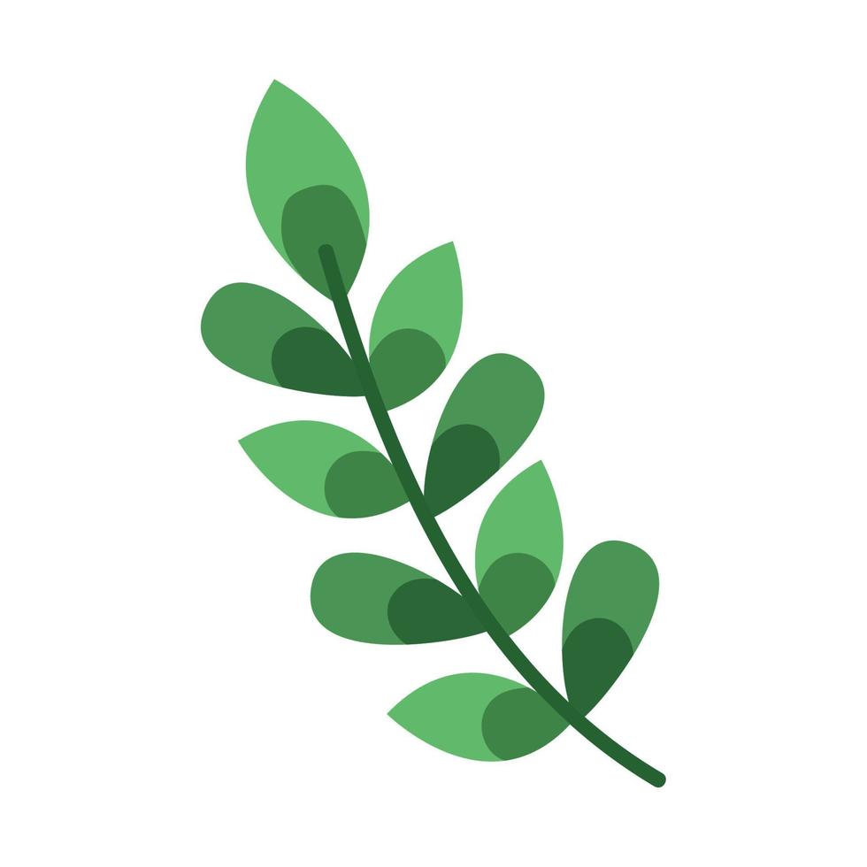 branch with leafs vector