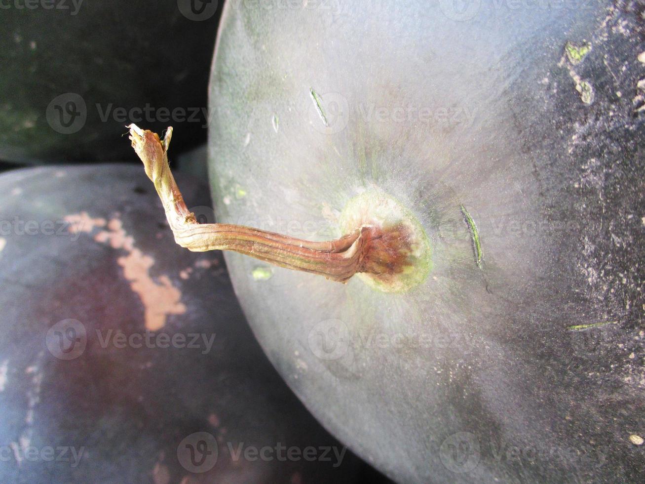 fresh fruits and vegetables photo