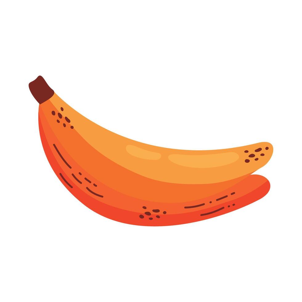 bananas fresh fruit healthy vector