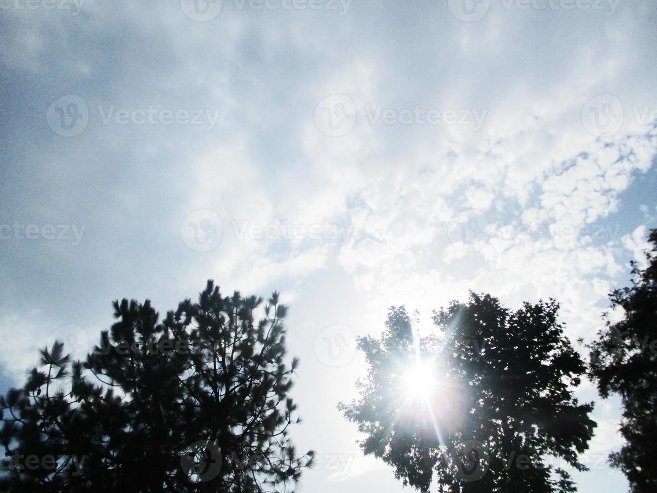 Nature , sky and green landscape photo