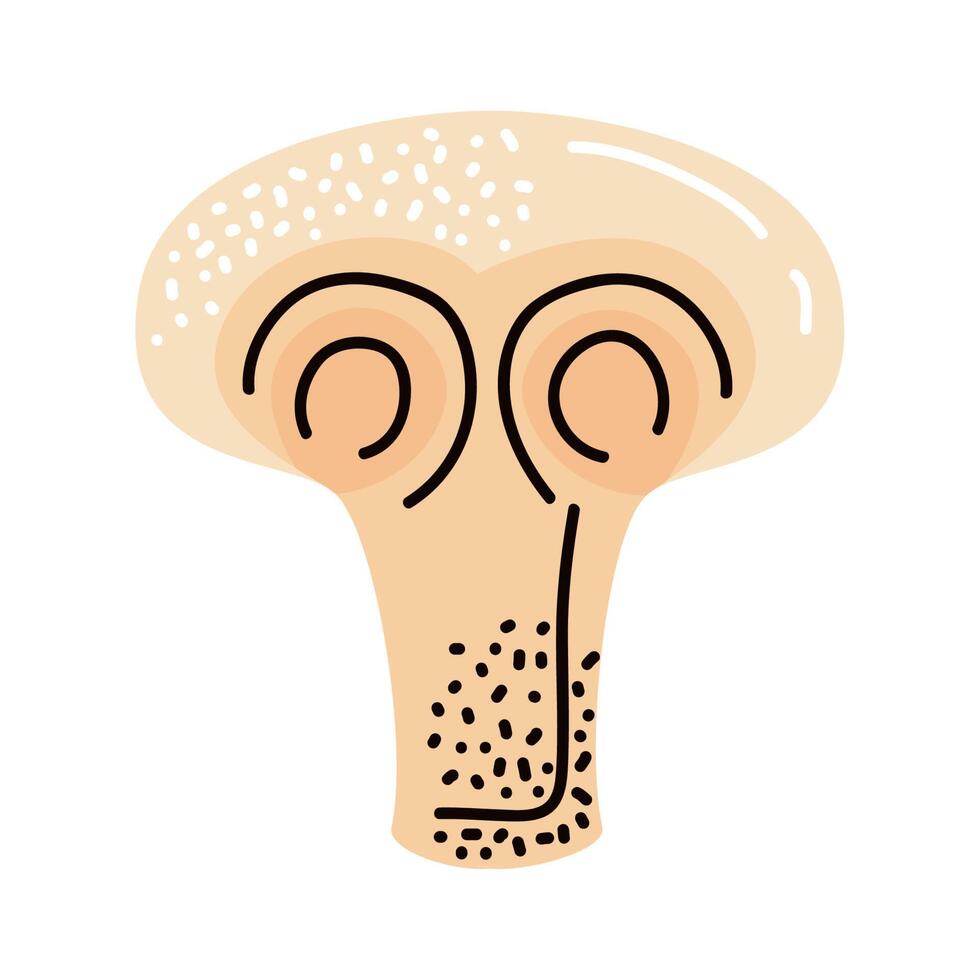 mushroom vegetable healthy food vector