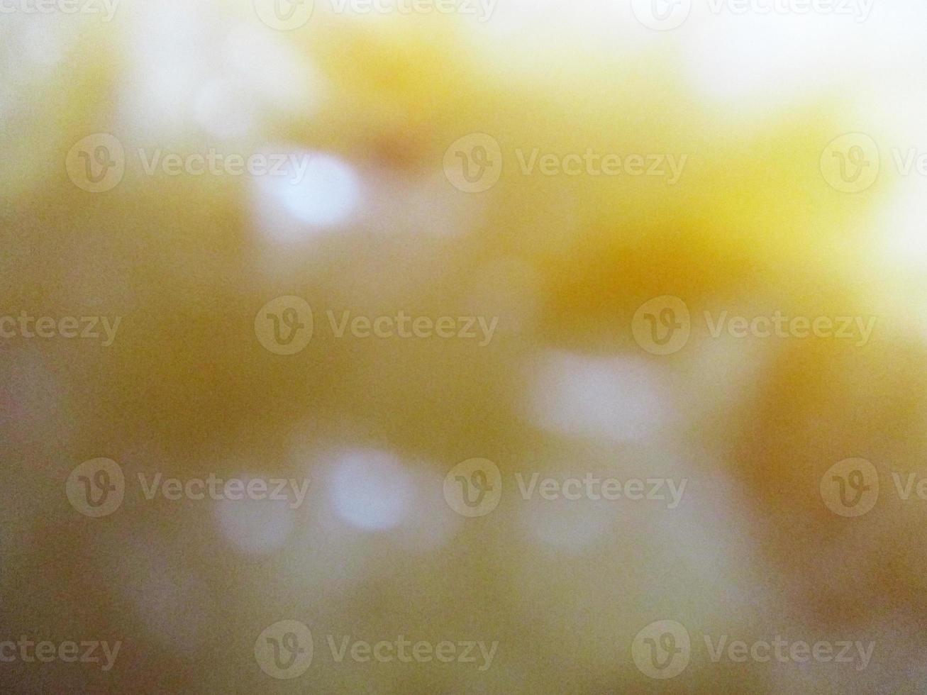 fresh fruits and vegetables photo