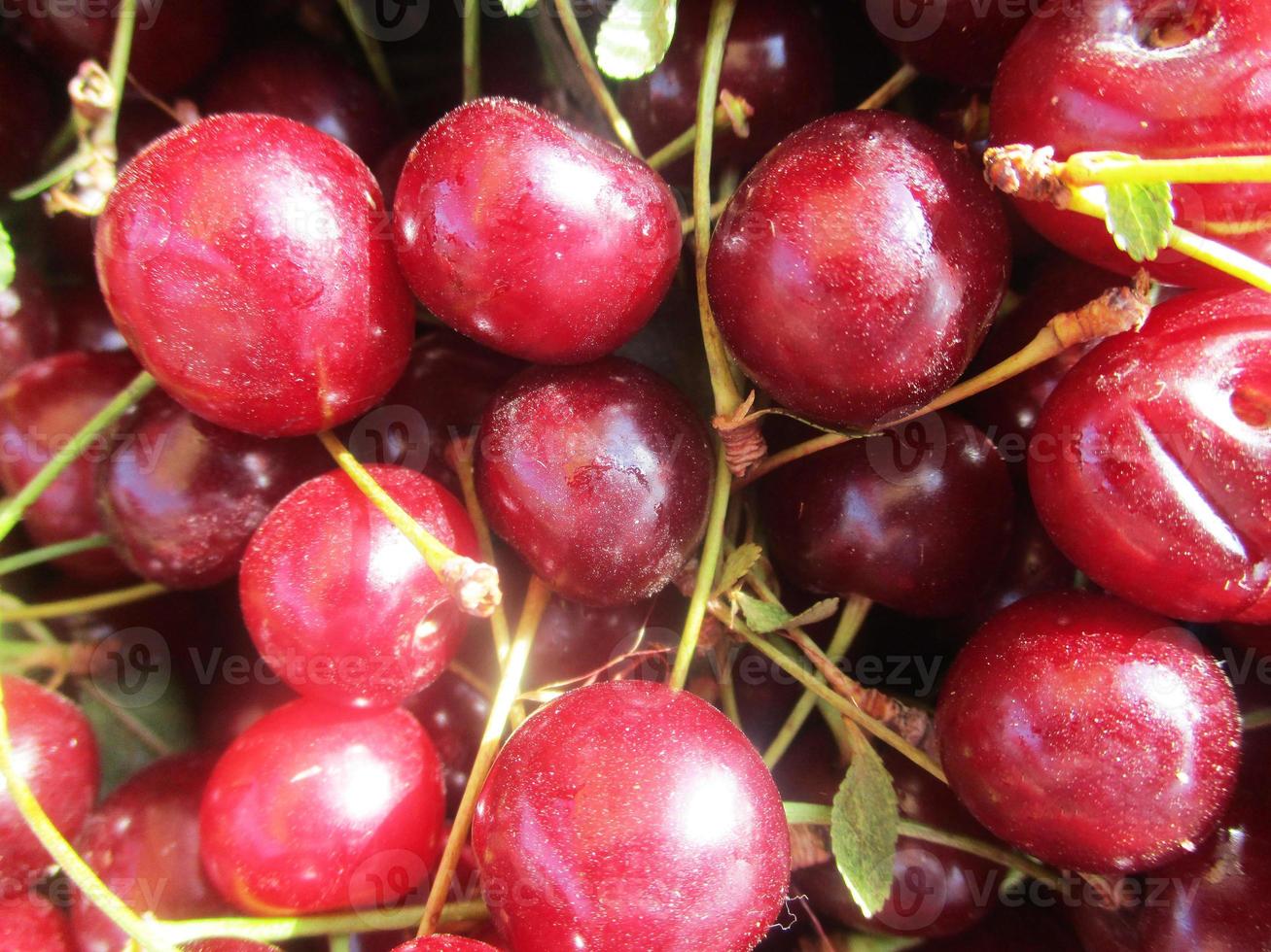 fresh fruits and vegetables photo