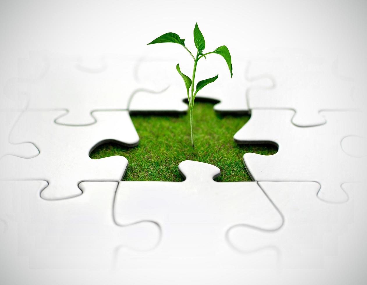 Jigsaw with the last missing piece replaced by a plant photo