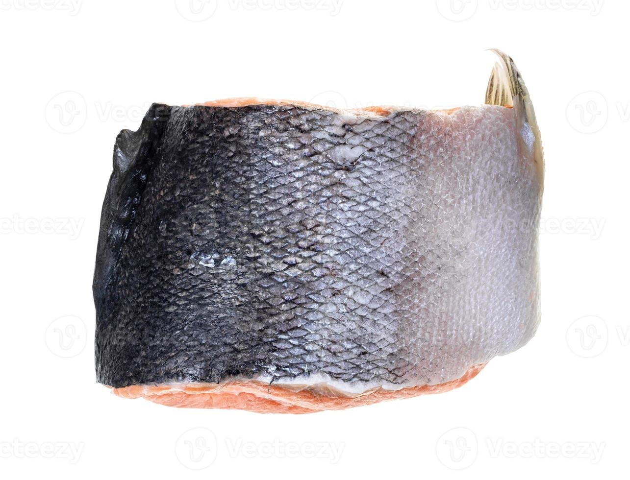 frozen part of atlantic salmon isolated on white photo