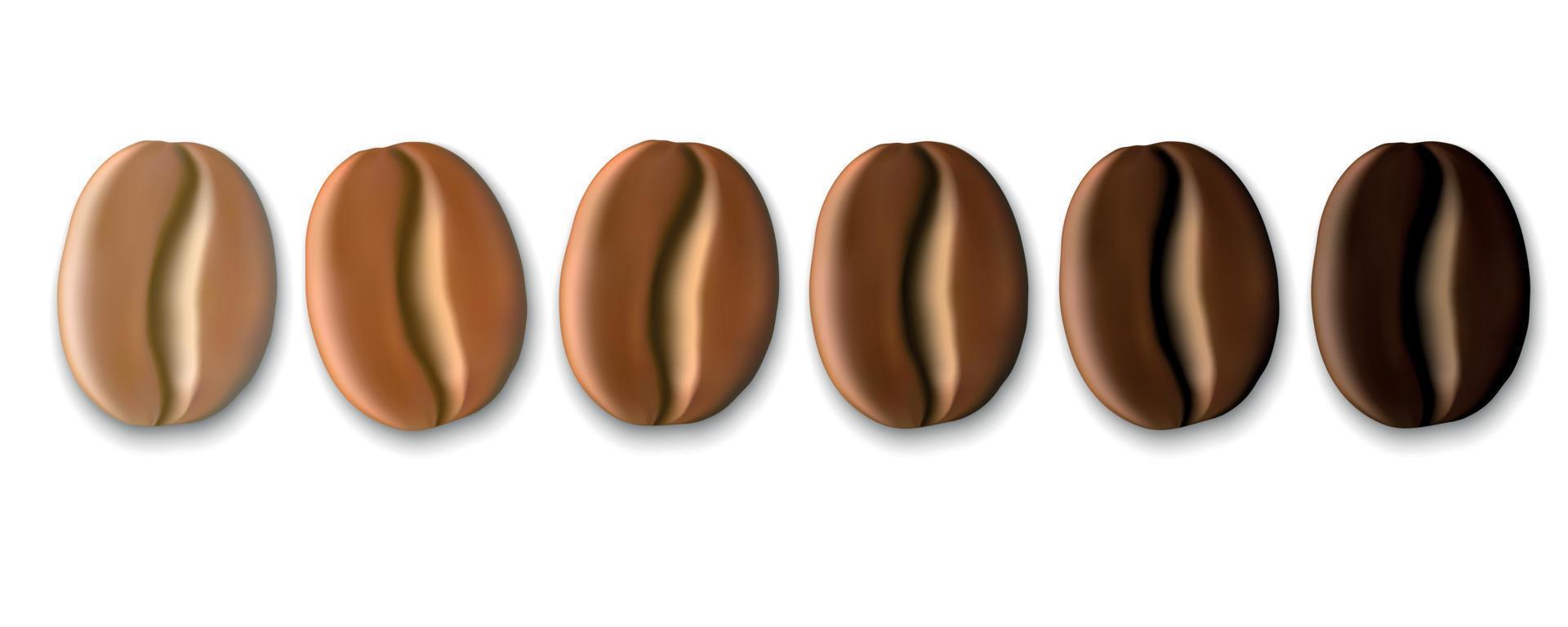 realistic coffee beans vector
