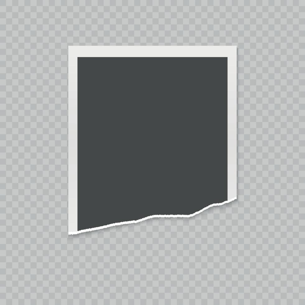torn photo card vector