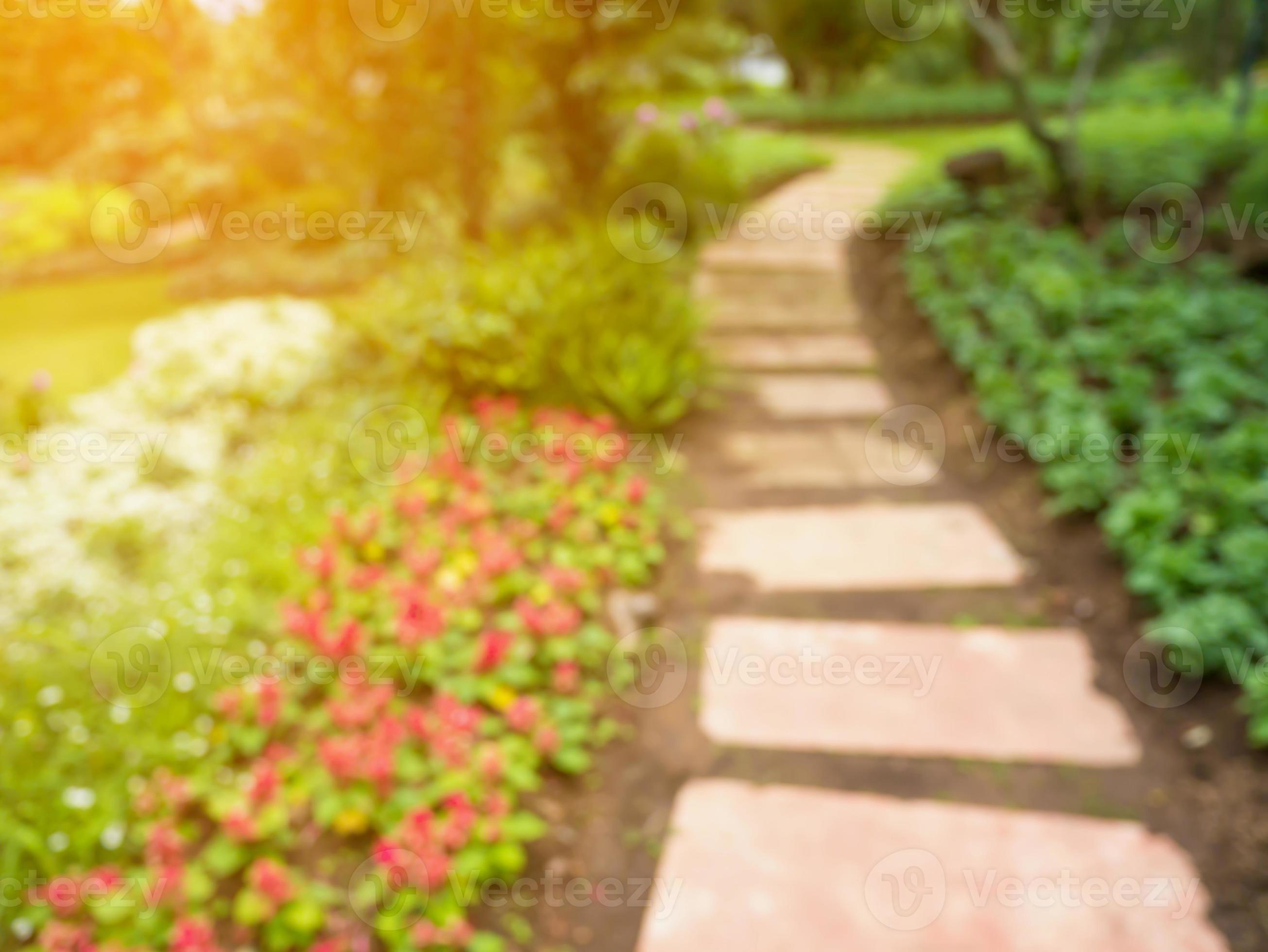 Walkway in the flowers garden blur background 11179387 Stock Photo at  Vecteezy