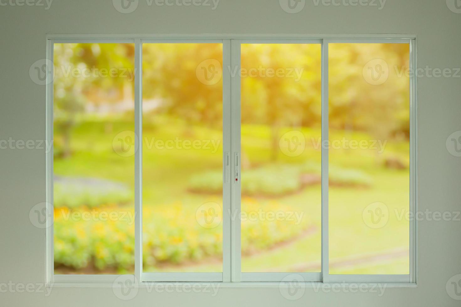 green garden view through the window photo