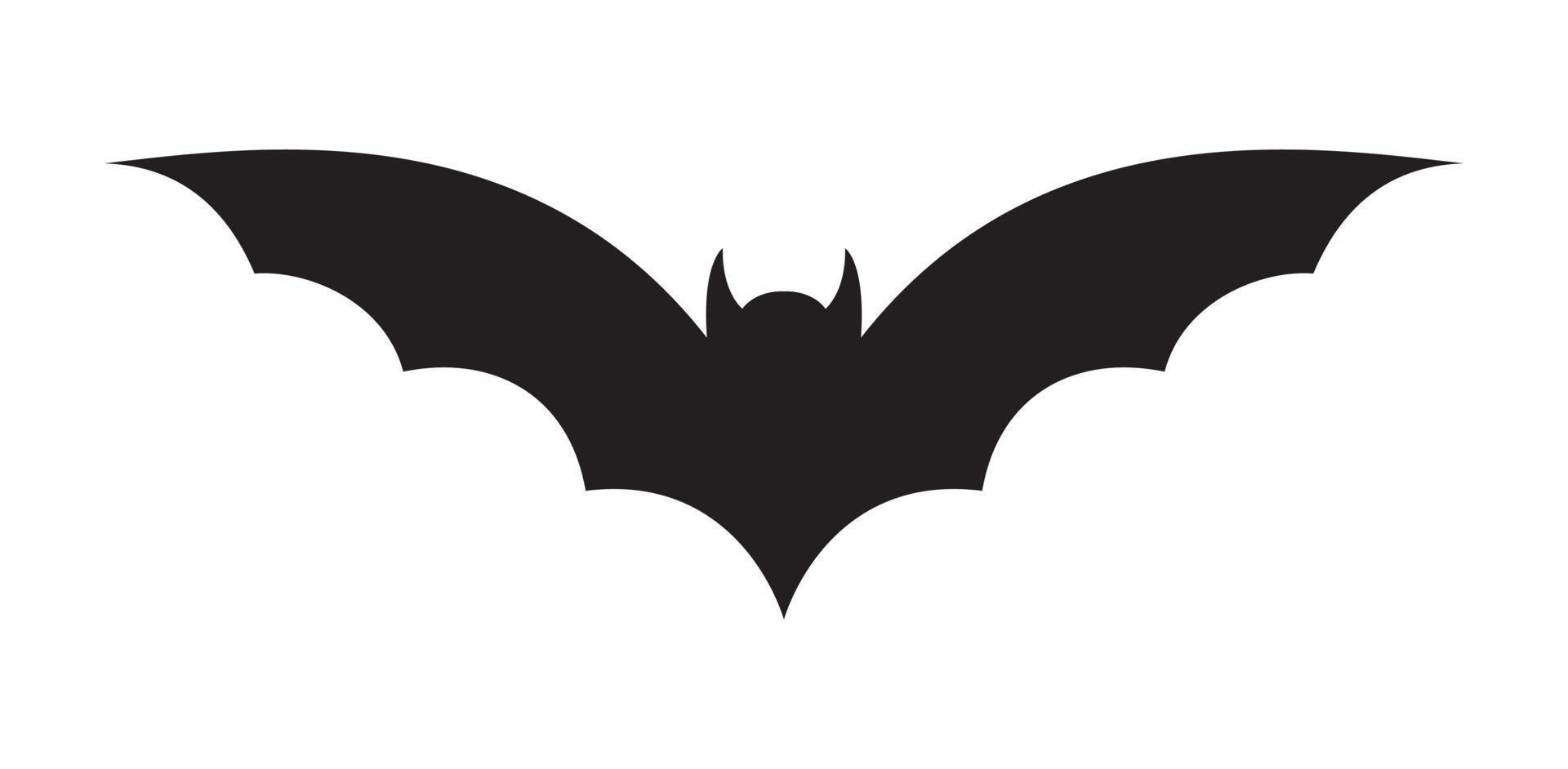 Bat isolated on white background vector