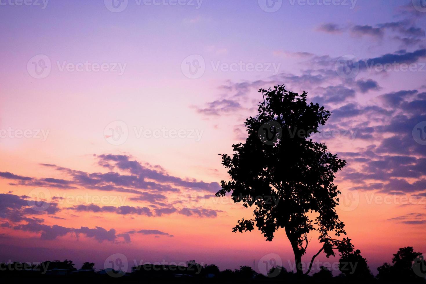 tiempo de puesta de sol con silueta de árbol y nubes en el cielo foto