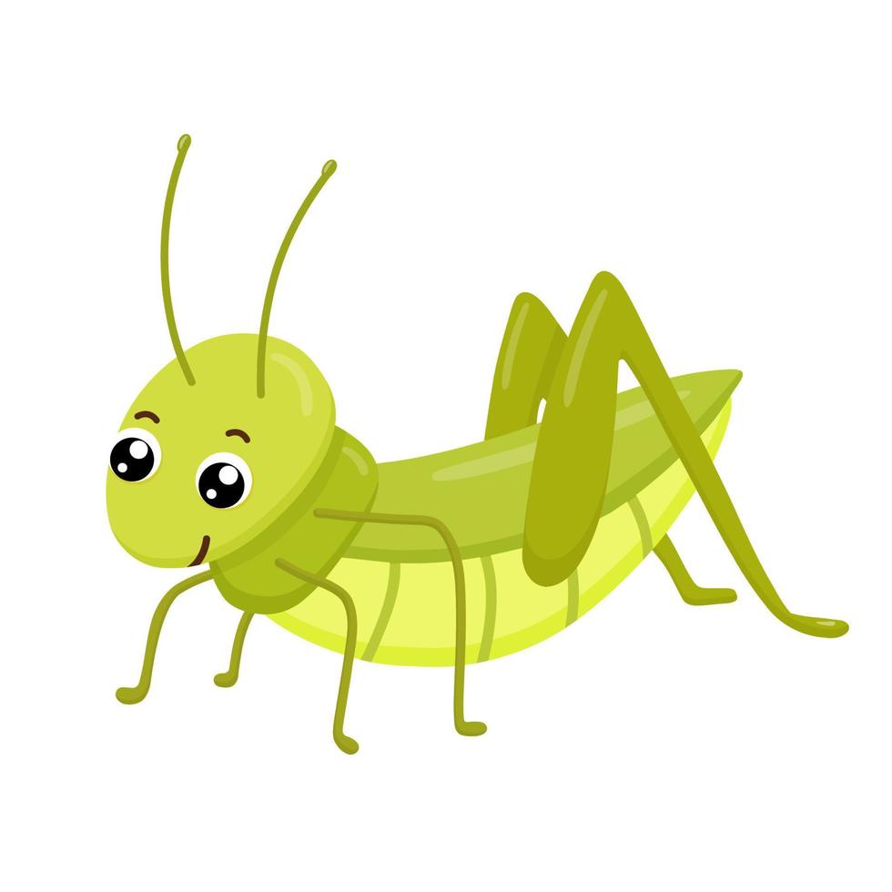 Cute smiling grasshopper isolated on white background. Funny insect for children. Flat cartoon vector illustration