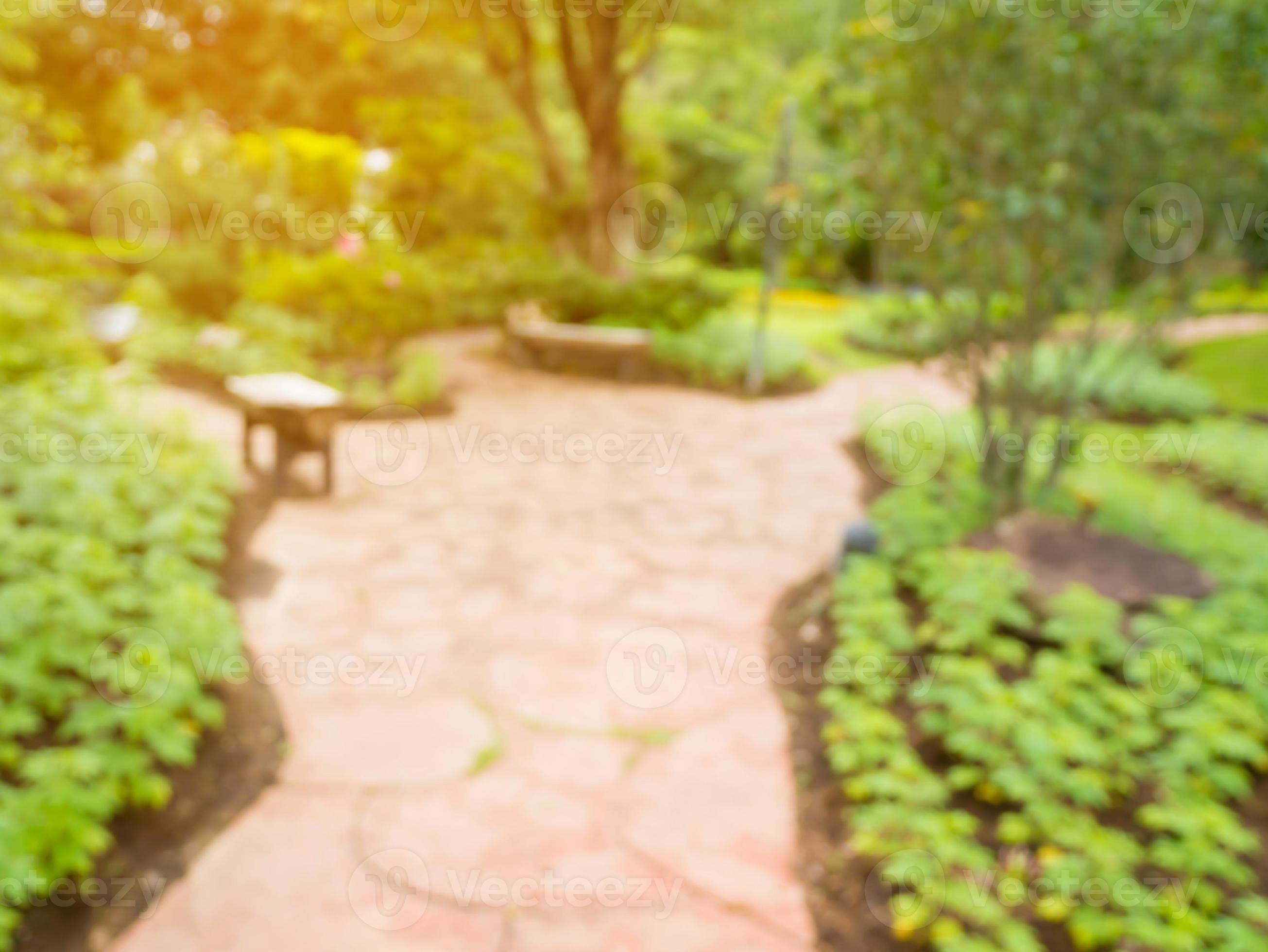 Walkway in the flowers garden blur background 11182689 Stock Photo at  Vecteezy