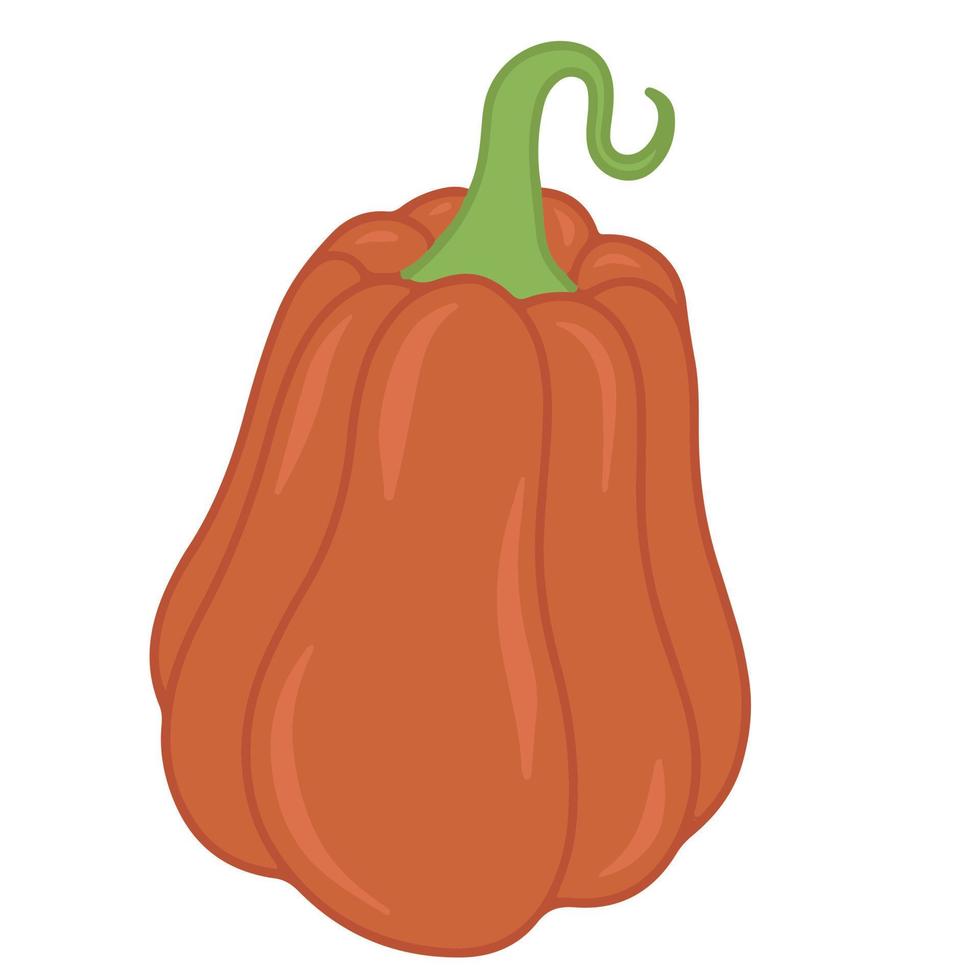 Seasonal autumn orange pumpkin flat vector isolated illustration