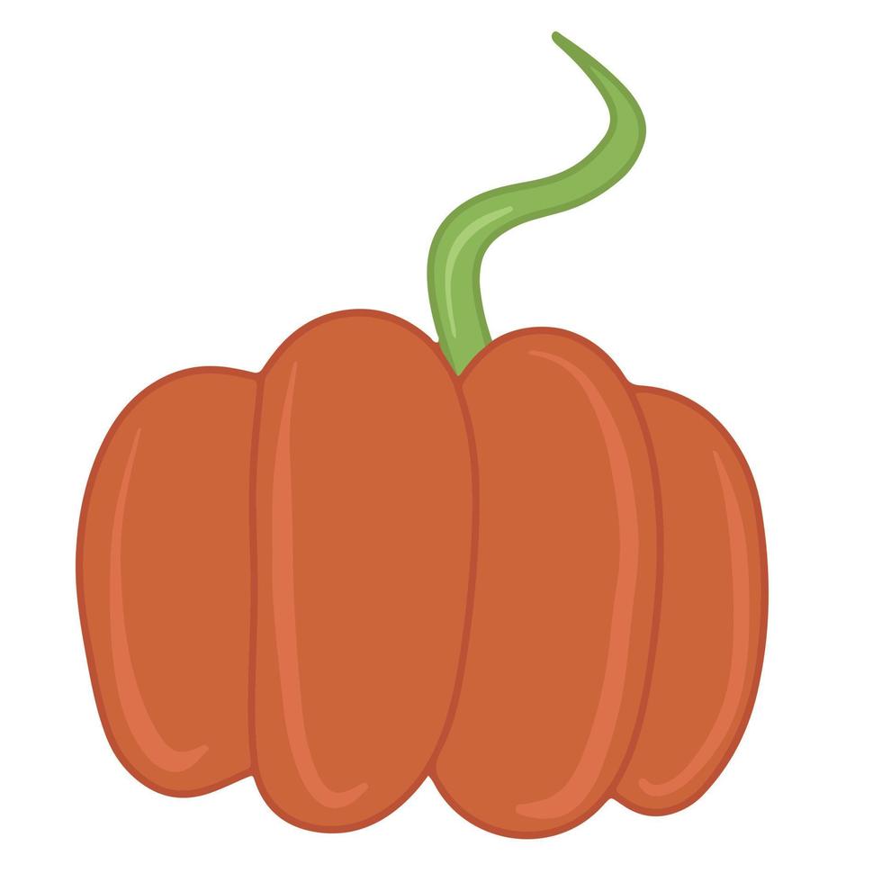 Seasonal autumn orange pumpkin flat vector isolated illustration