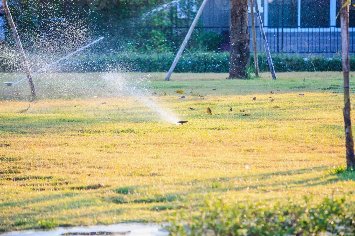 Automatic lawn sprinklers watering over green grass in the garden photo