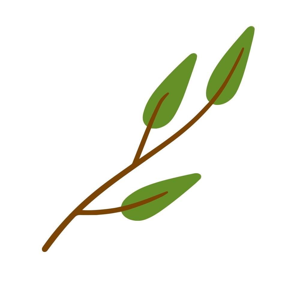 Branch with green leaves. Plant design. Element of wood and nature. Flat simple illustration vector