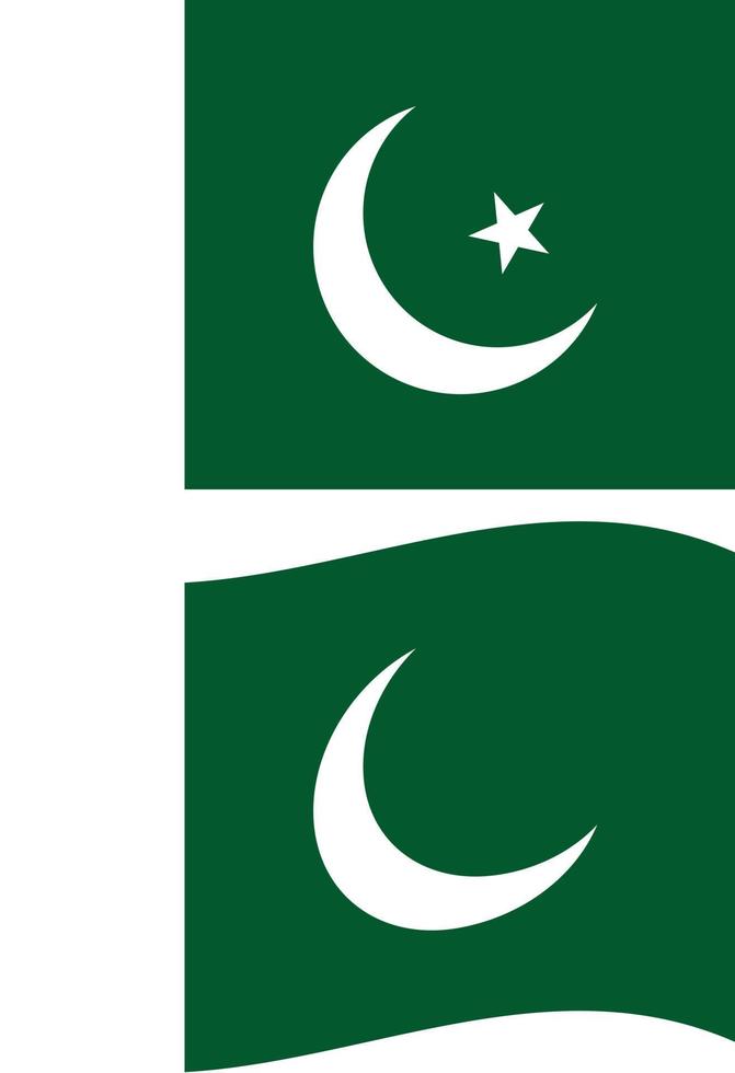 National flag of Pakistan with paper texture background. Flag of Pakistan. Pakistan waving flag. flat style. vector