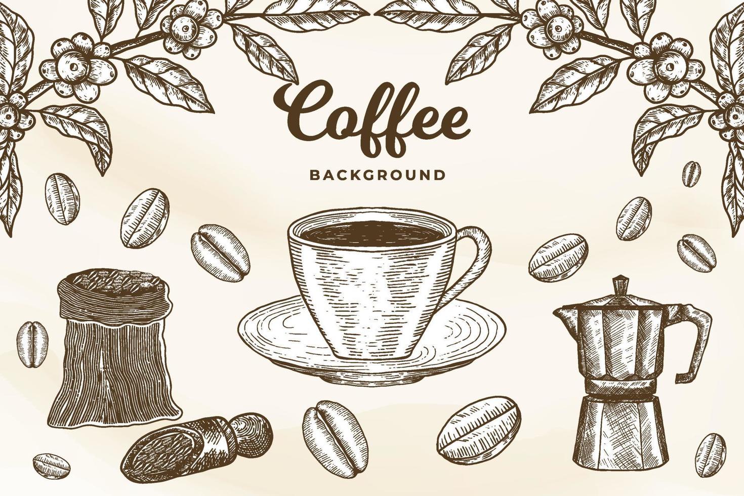 hand drawn coffee illustration background vector