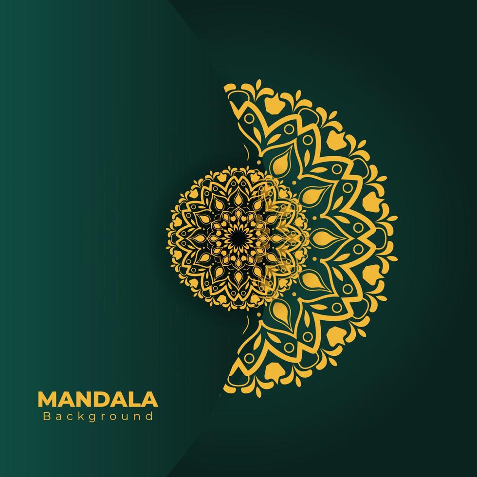 Mandala Background Design vector