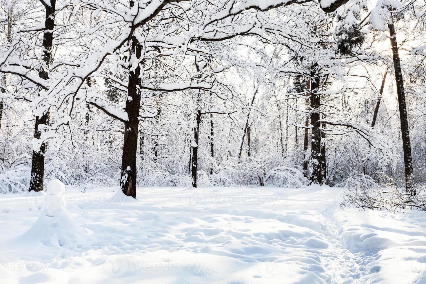 snowman on snowy glade in oak grove in forest photo