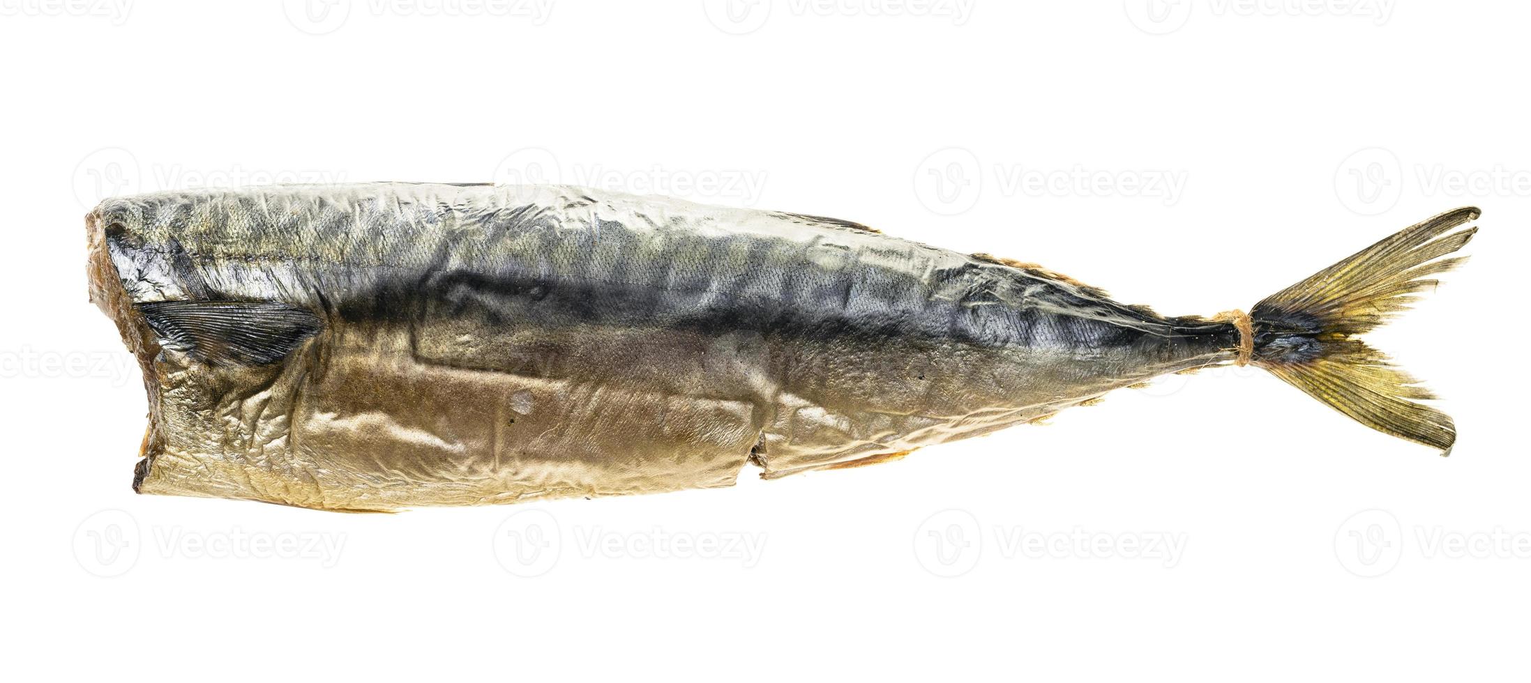 hot smoked headless mackerel isolated on white photo