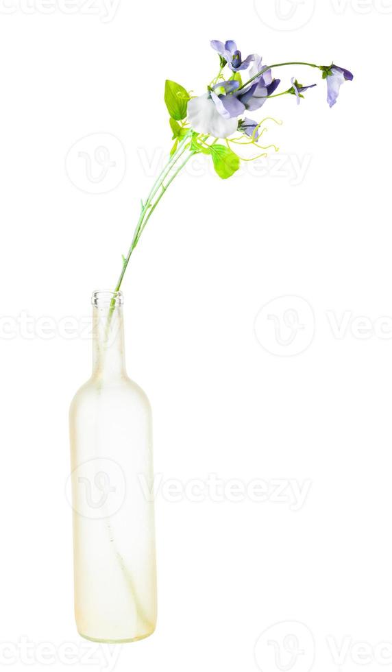 artificial flower in frosted glass bottle isolated photo