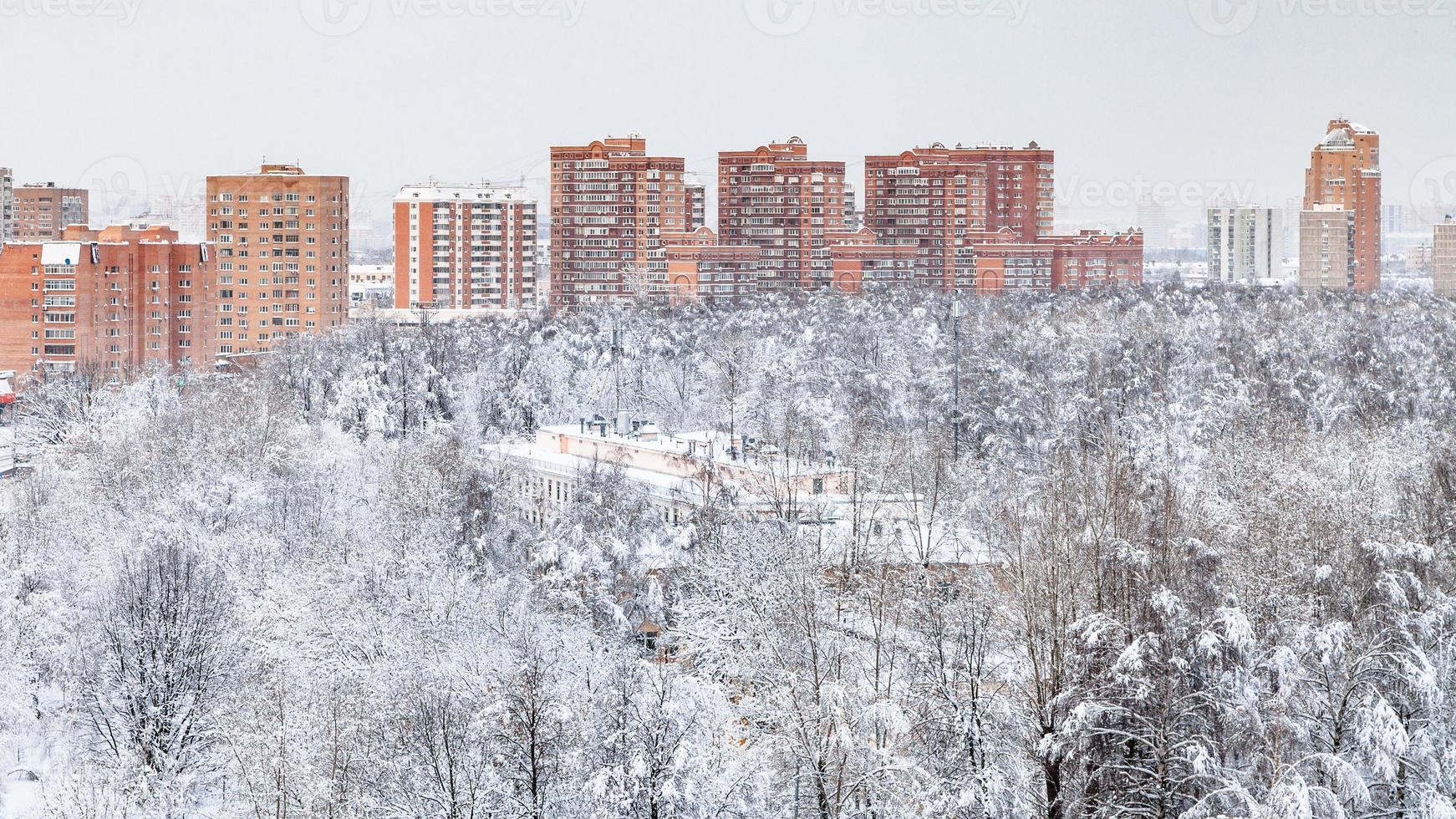 cityscape with park and houses in winter photo