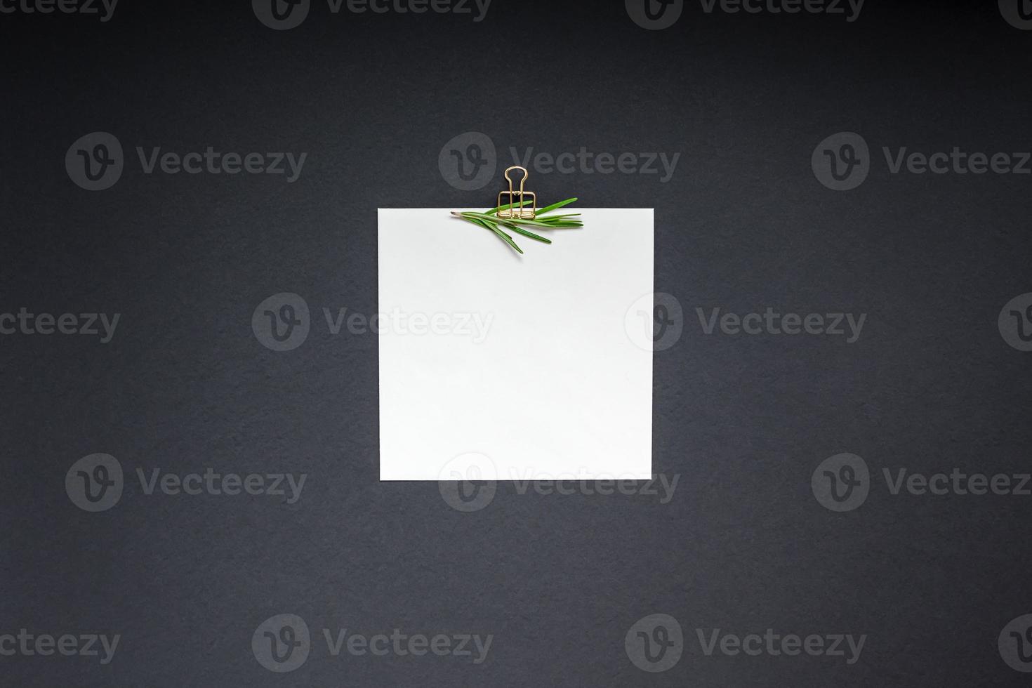 Blank notepad page with greens herbs and spices photo