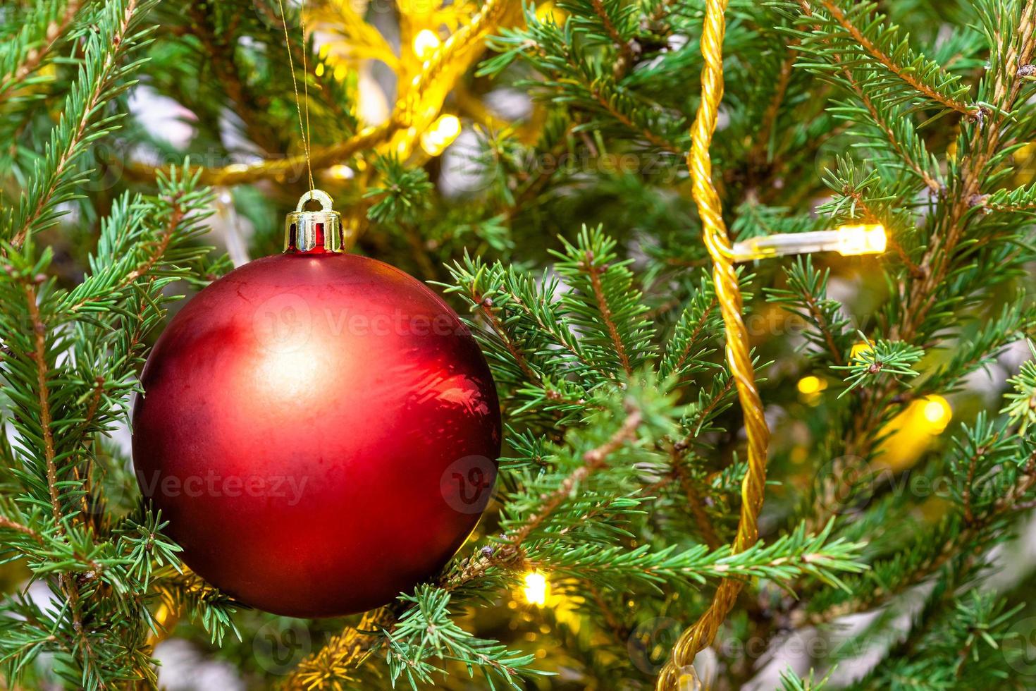 red ball and light string on twigs of xmas tree photo