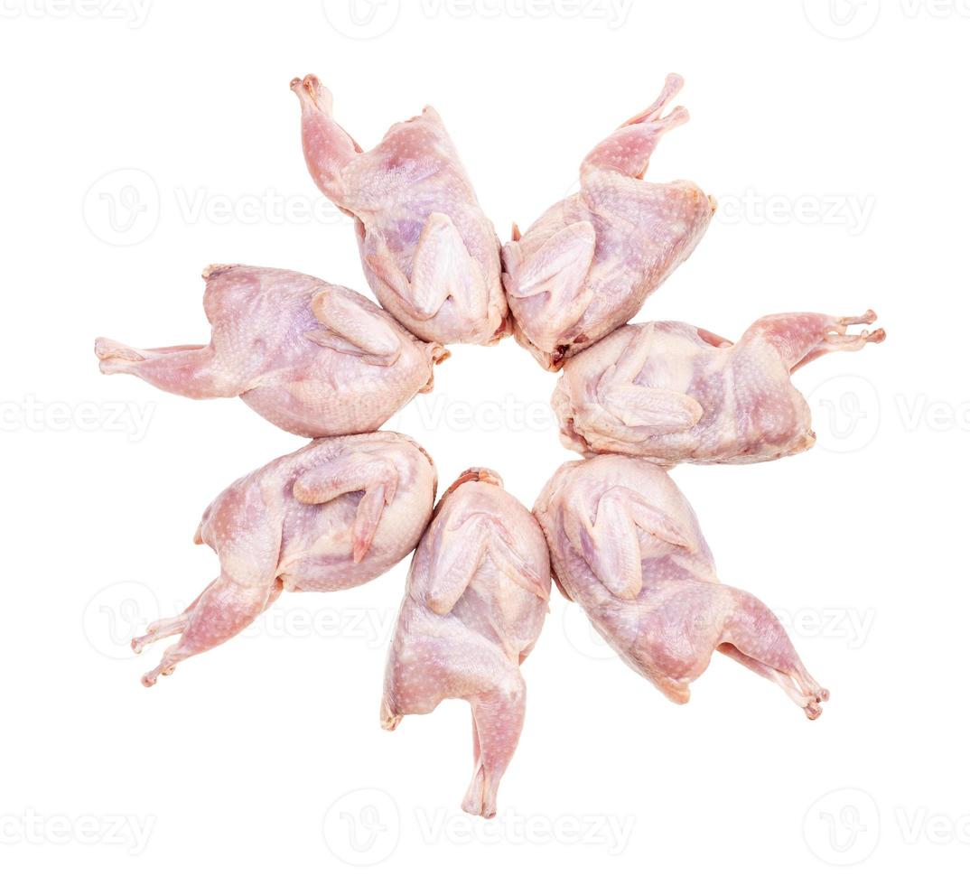 circle from raw plucked quails isolated on white photo