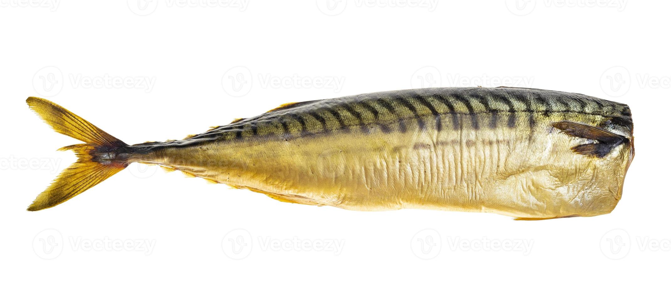 cold smoked headless mackerel isolated on white photo