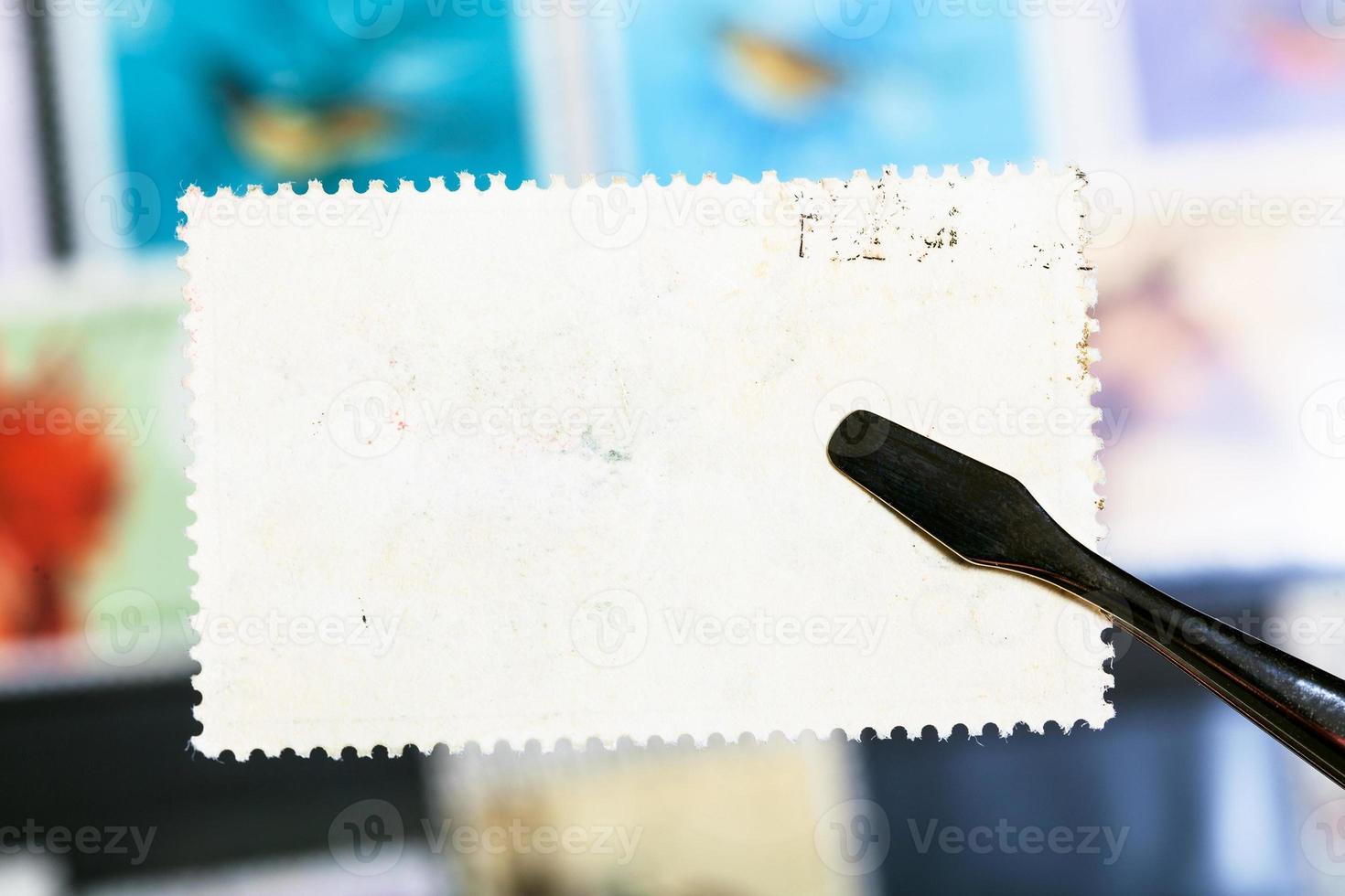 Las pinzas mantienen el sello postal con el reverso sin usar foto