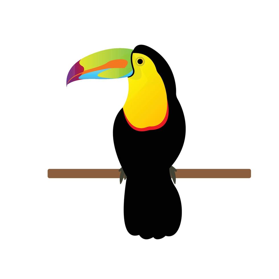 Colorful toucan sitting on a branch, isolated on white background vector