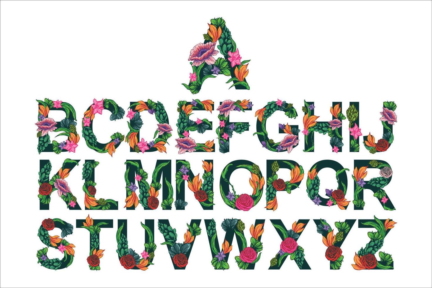 Flowers Alphabet Colored Vector on white background