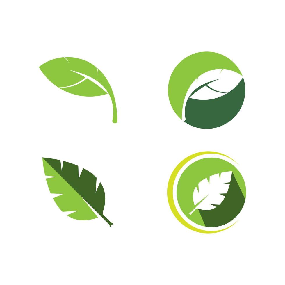 leaf vector icon