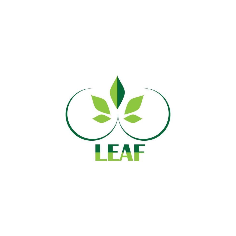 leaf logo vector illustration design template