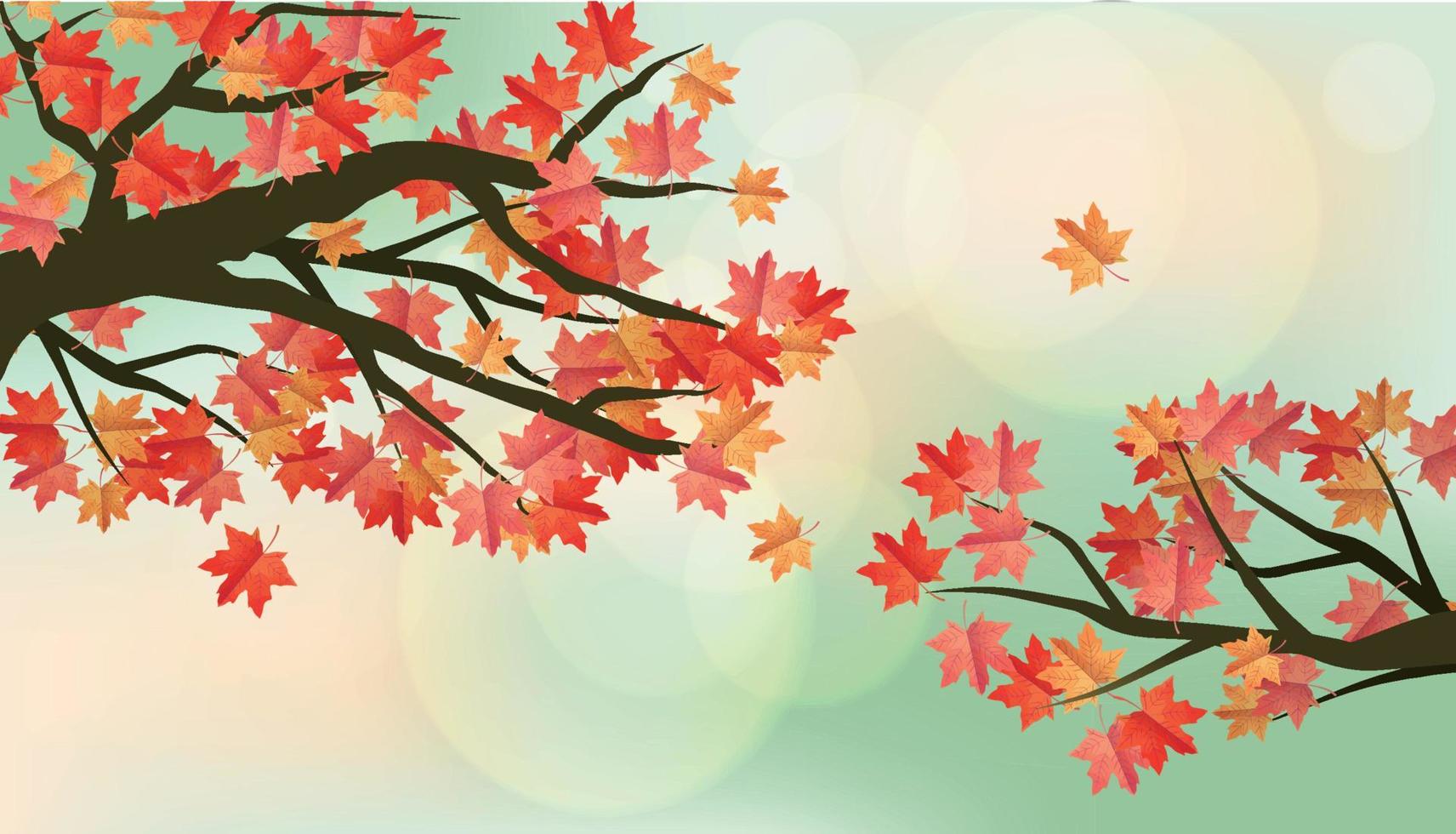 Beautiful autumn red maple background vector