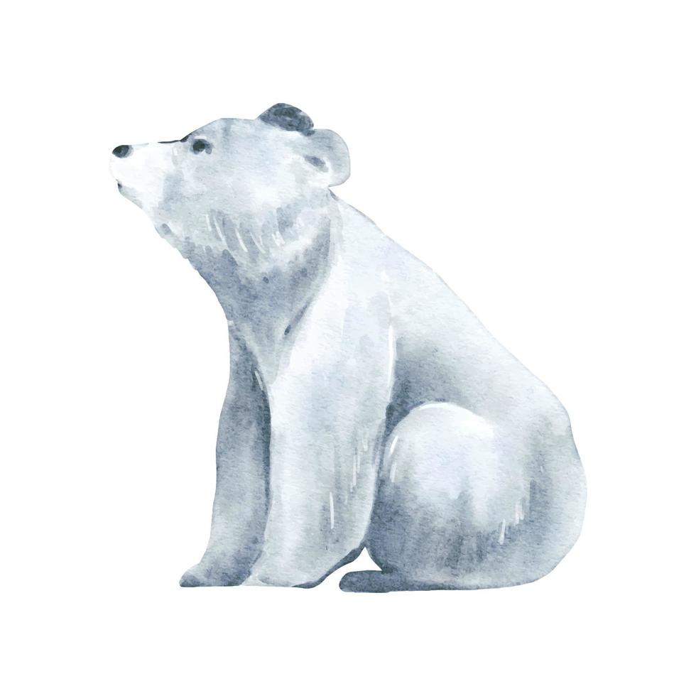 Polar Bear Watercolor isolated on white background. Wild animal illustration. Woodland bear watercolor drawing design vector