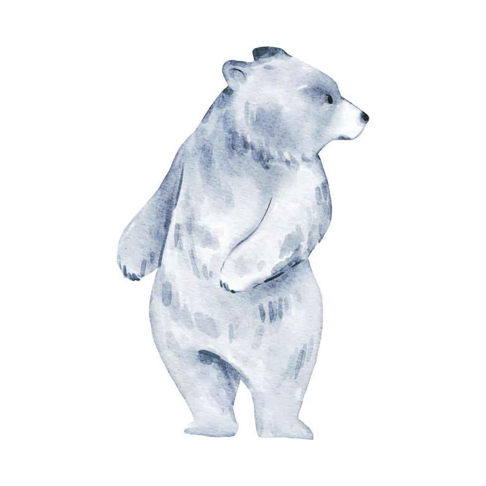 Polar Bear Watercolor isolated on white background. Wild animal illustration. Woodland bear watercolor drawing design vector