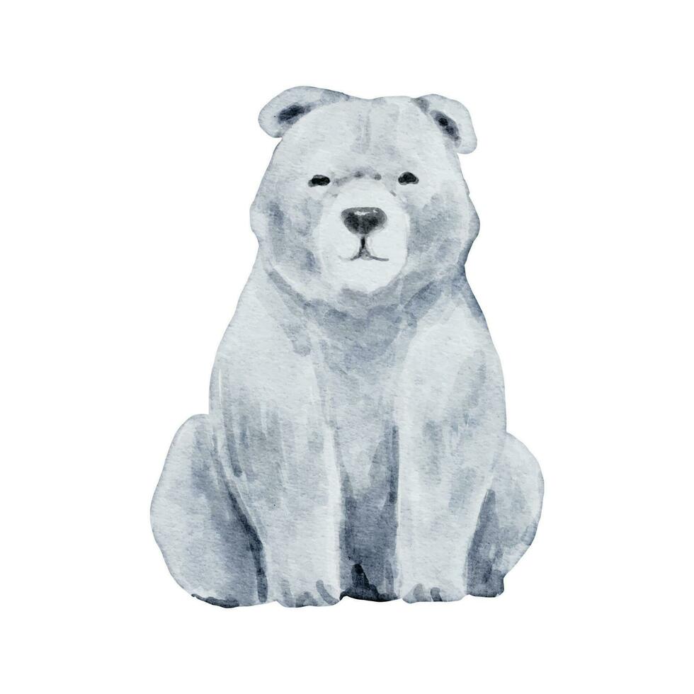 Polar Bear Watercolor isolated on white background. Wild animal illustration. Woodland bear watercolor drawing design vector