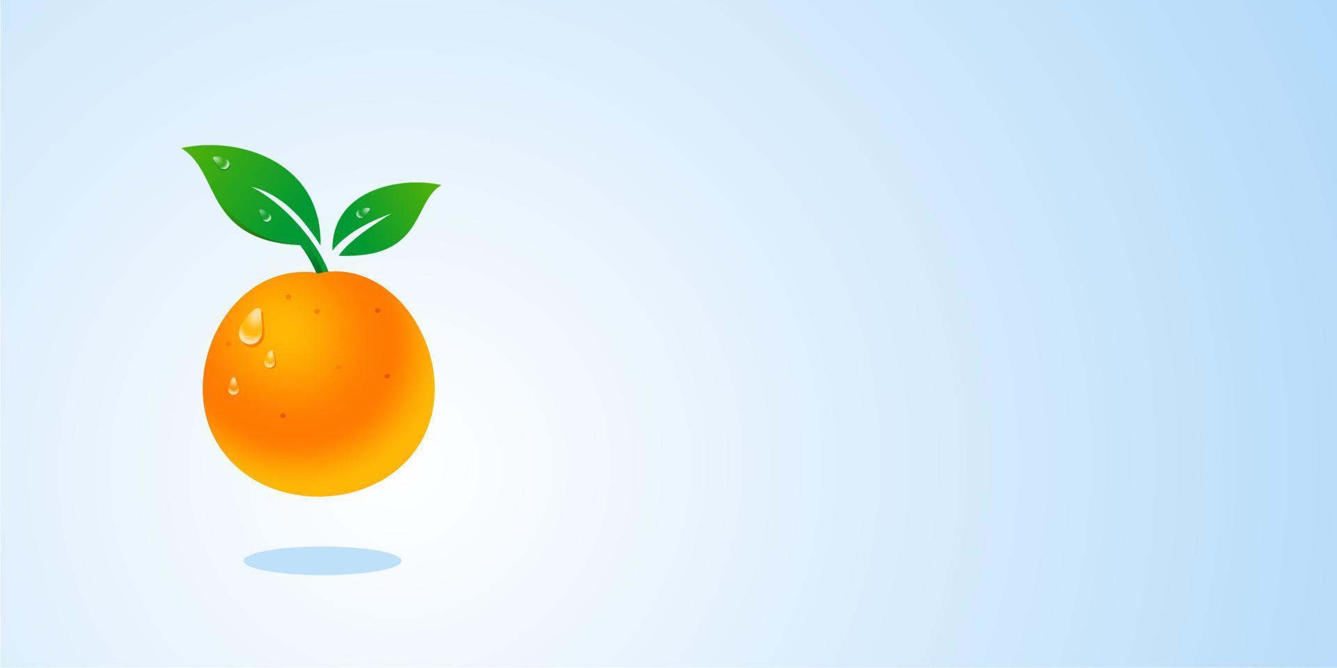 fresh orange fruit 3d realistic vector, Tangerine with copy space in blue banner background Illustration vector