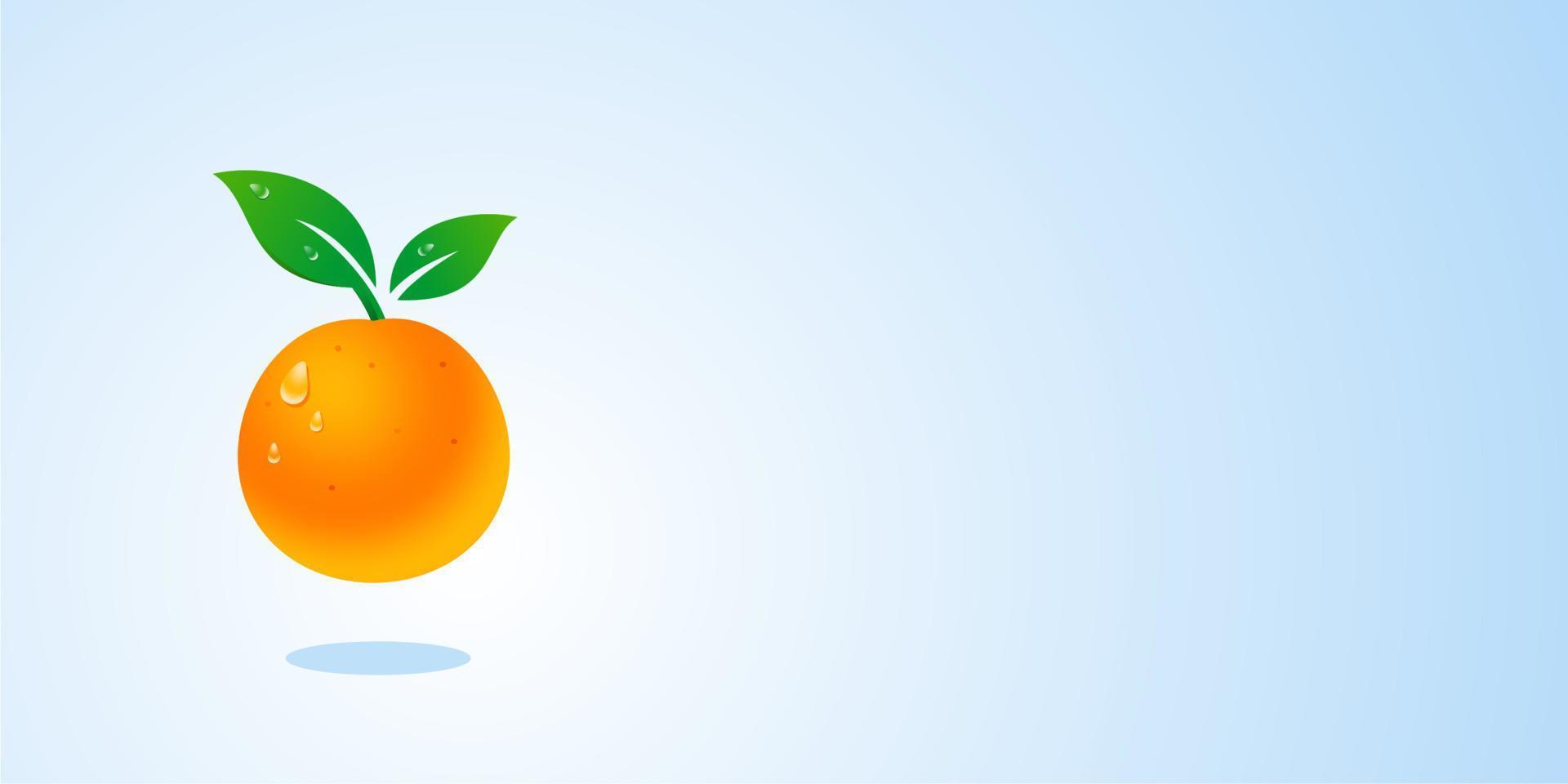 vector realista 3d de fruta naranja fresca, mandarina con espacio de copia en ilustración de fondo de banner azul