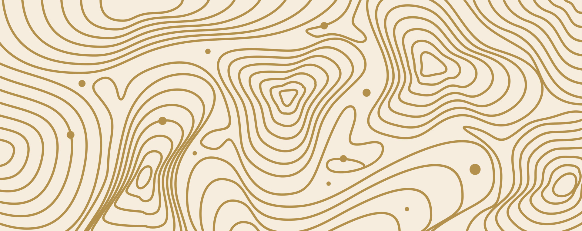 topographic map contour in line and contour illustration vector