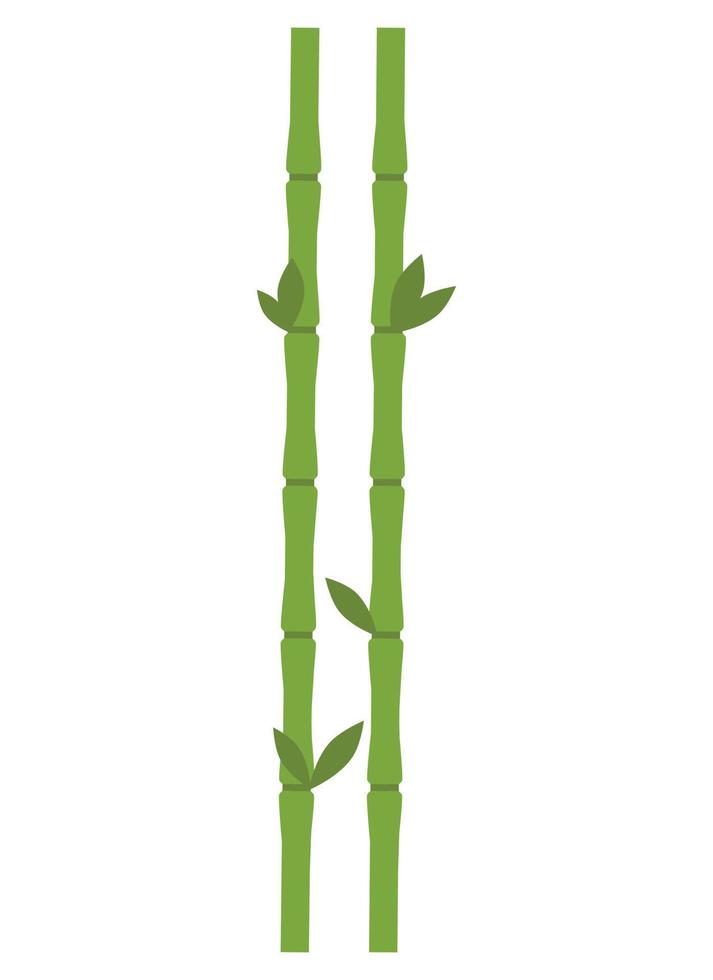 bamboo design illustration isolated on transparent background vector