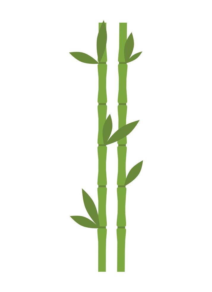 bamboo design illustration isolated on transparent background vector