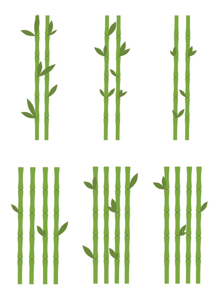 bamboo design illustration isolated on transparent background vector