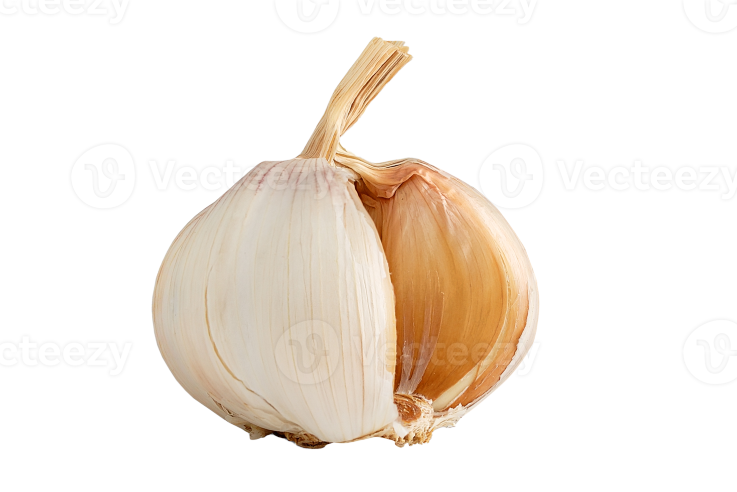 slice garlic isolated png